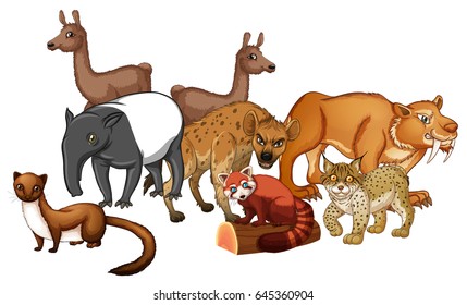 Group of wild animals illustration