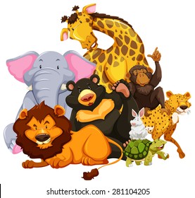 Group of wild animals sitting together on white background