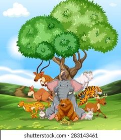 Group of wild animals together in the field