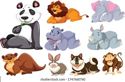 Group of wild cartoon character illustration