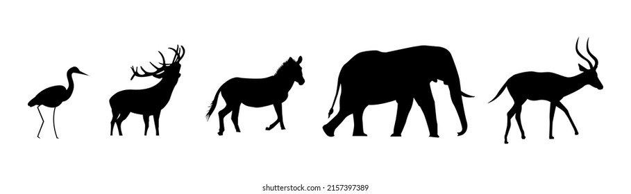 Group of wildlife animal silhouettes illustration
