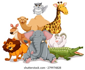 Group of wildlife on white background