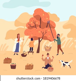 Group of women and kid picking pears from tree at garden vector flat illustration. Funny female during seasonal agricultural work. People working together putting harvest plant to baskets and crates