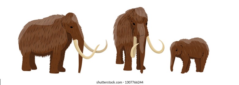 A group of woolly mammoths in various poses. Adult animals and young. Prehistory animals. Ice Age. Extinct animals of Siberia, Eurasia and North America. Realistic Vector