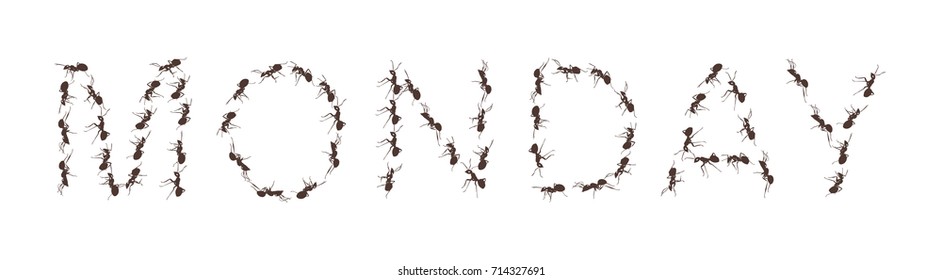 Group of working ants create the word Monday