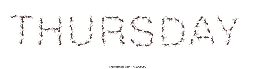 Group of working ants create the word Thursday