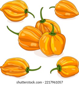 Group of yellow habanero chili peppers. Capsicum chinense. Hot chili pepper. Fresh organic vegetables. Cartoon style. Vector illustration isolated on white background.