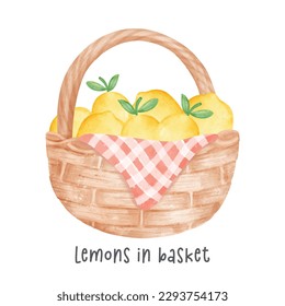 group of yellow lemons vegetables watercolour in wooden vintage wicker basket vector cartoon hand painted illustration isolated on white background.