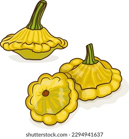 Group of Yellow Patty Pan squash or Scallop or Scallopini squash. Summer squash. Cucurbita pepo. Fruits and vegetables. Cartoon style. Vector illustration isolated on white background.
