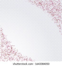 Group of young sprouts purple amaranth on transparent with place for text. Fresh young sprouts. Microgreen healthy food. Vegetarian food. Raw sprouts, microgreens, healthy eating concept. Vector