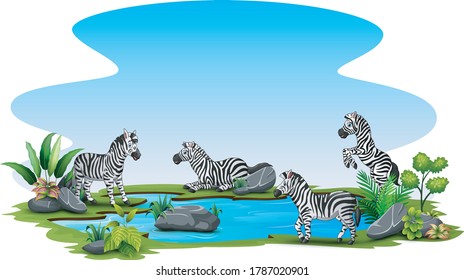 Group of zebra playing in the small pond