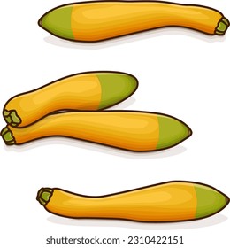 Group of Zephyr Squash. Summer squash. Cucurbita pepo. Fruits and vegetables. Cartoon style. Vector illustration isolated on white background.