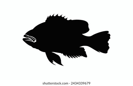 Grouper schwarze Silhouette Vektor Hintergrund