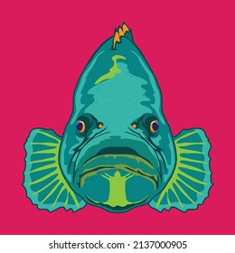 Grouper fish face vector illustration in decorative style, perfect for tshirt design and aquarium fish logo