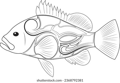 grouper fish icon to logo animal.coloring  grouper fish. grouper fish sketches. tattoos