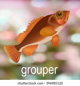 grouper fish on the bottom of the sea. vector illustration
