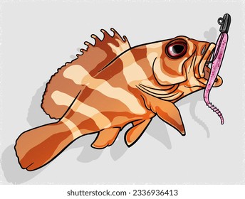 pesca de mero mediante el vector de señuelo de plástico suave rosa. tarjetas de felicitación empresa o marca comercial, logotipo, camiseta de mercadería de mascota, pegatinas y diseños de etiquetas, afiche.