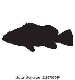 Grouper   Silhouette aislada en fondo blanco.  Ilustración vectorial 