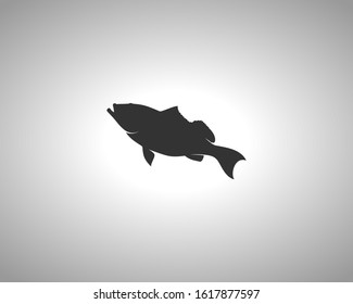 Grouper Silhouette on White Background. Isolated Vector Animal Template for Logo Company, Icon, Symbol etc