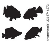 grouper silhouette set collection isolated black on white background vector illustration
