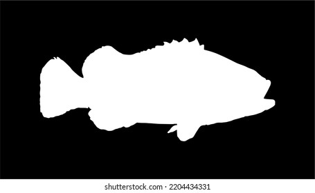 Groupers Fish Silhouette in Black Background for Icon, Symbol, Pictogram, Logo or Graphic Design Element. Vector Illustration