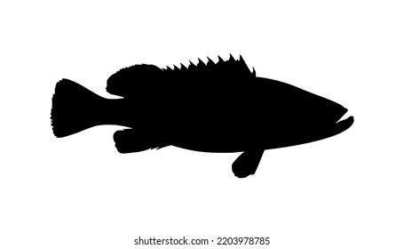 Groupers Fish Silhouette for Icon, Symbol, Pictogram, Logo or Graphic Design Element. Vector Illustration