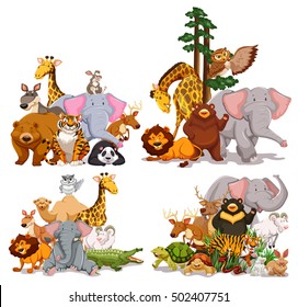 Groups of animals