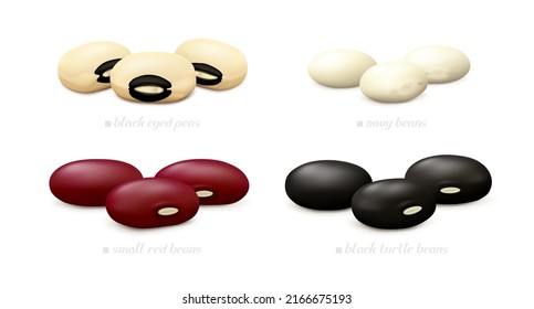 Groups of black-eyed peas, small red (Mexican), black turtle, white (navy) beans. Side view. Realistic vector illustration.