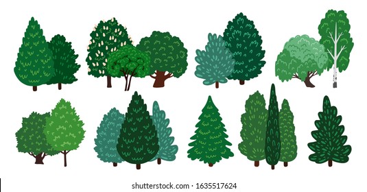 Groups of coniferous and deciduous trees. Elements for a forest and park landscape. Collection of cartoon elements. Vector illustration, isolated on a white background.