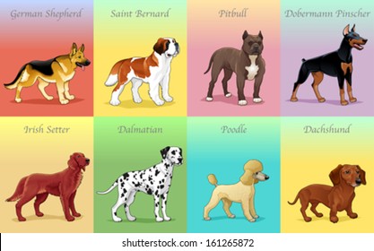 Groups of dog. Vector illustration