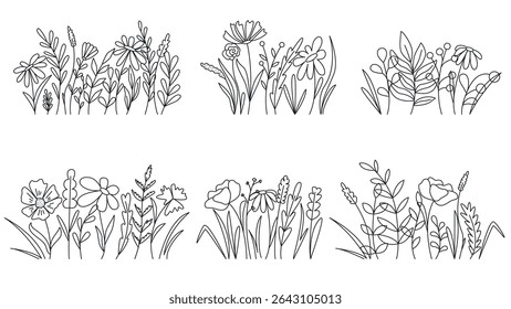 Groups of field herbs, plants and flowers doodle sketch style. Cute herbal composition hand drawn simple black lines. Botanical nature set, vector elements of spring and summer design