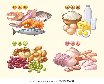 Groups of fresh products which contains different vitamins. Fish and meat, useful vitaminization nutrition, ingredient of dairy cheese and milk. Vector illustration