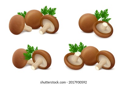 Groups of fresh shiitake mushrooms with green leaves of parsley isolated on white background. Realistic vector illustration. 