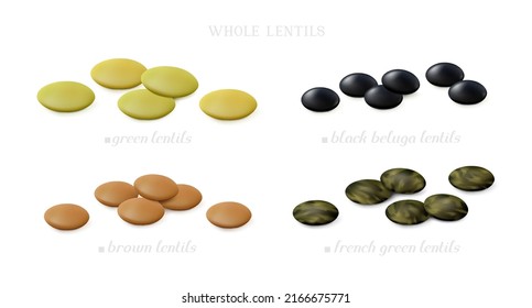 Groups of green, brown, black beluga and French lentil (whole and unshelled) isolated on white background. Side view. Realistic vector illustration.