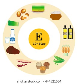 Groups of healthy fruit, vegetables, meat, fish and dairy products containing specific vitamins. Vitamin E