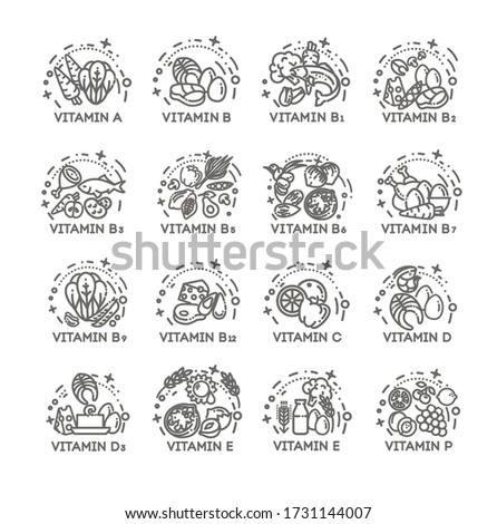 Groups of healthy fruit, vegetables, meat, fish and dairy products containing specific vitamins