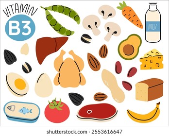 Groups of healthy products containing vitamin B3. Set of fruits, vegetables, meats, fish and dairy