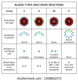 30,260 Blood type Images, Stock Photos & Vectors | Shutterstock