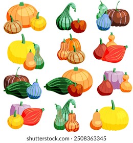 Groups of pumpkins in different colors. Great for harvest, autumn or Helloween celebrations - make up your own faces. Vector illustration