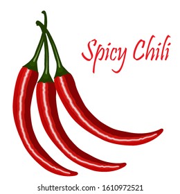Groups of red chilis vector on white background.
