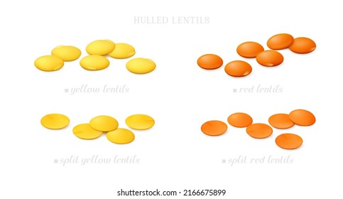 Groups of red and yellow (shelled) lentil (split and whole) isolated on white background. Side view. Realistic vector illustration.