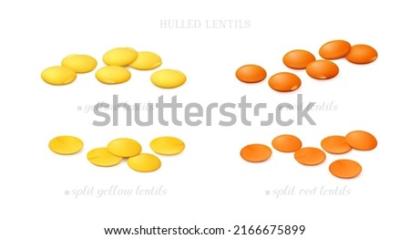 Groups of red and yellow (shelled) lentil (split and whole) isolated on white background. Side view. Realistic vector illustration.