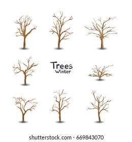 Groups of trees isolated on white background. - Winter season