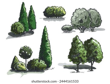 Groups of trees sketch in color. Collection of hand drawings. isolated on white background vector.