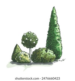Groups of trees sketch in color. Hand drawing. isolated on white background vector.