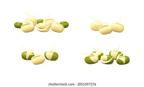 Groups of young mung bean sprouts (peeled, unpeeled, with dried green gram) isolated on white background. Realistic vector illustration. Side view.