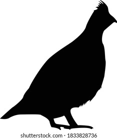 Grouse Bird Silhouette Vector Illustration