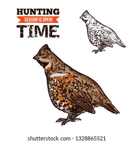 Grouse bird vector sketch. Hunter trophy wild bird, hazel grouse, hunting open season time