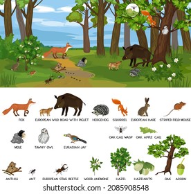 Cultivar biotopos con diferentes animales (mamíferos, aves, insectos) y plantas en su hábitat natural. Ecosistema forestal