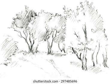 Grove Of Deciduous Trees, Painted Graphite Pencil At The White Background, Hand Drawn Sketch Of Landscape, Vector Illustration